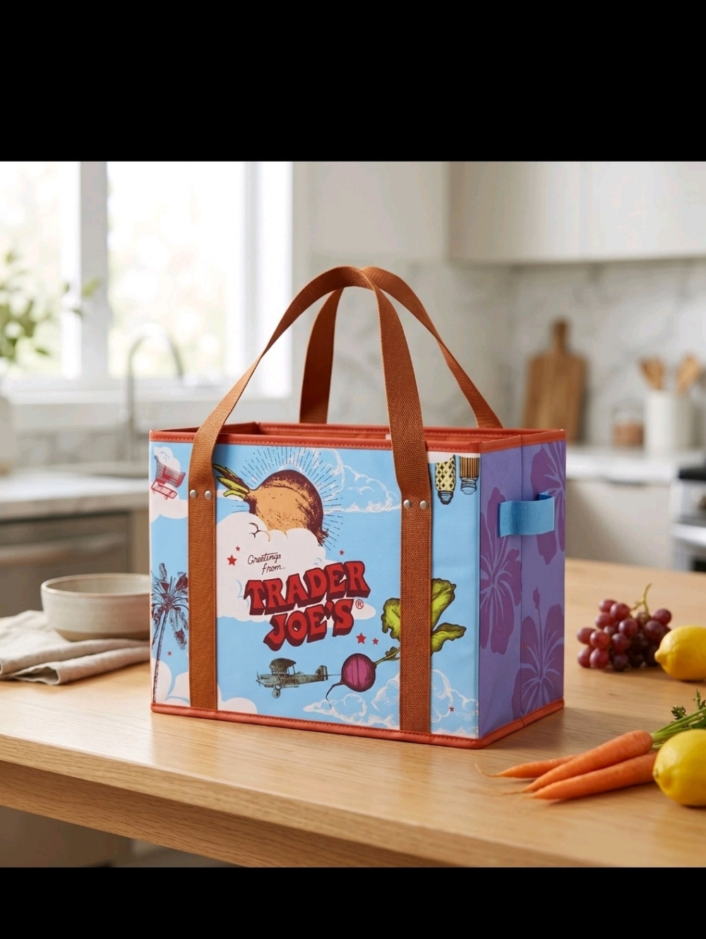 Trader Joe's Stand Up Collapsible Tote